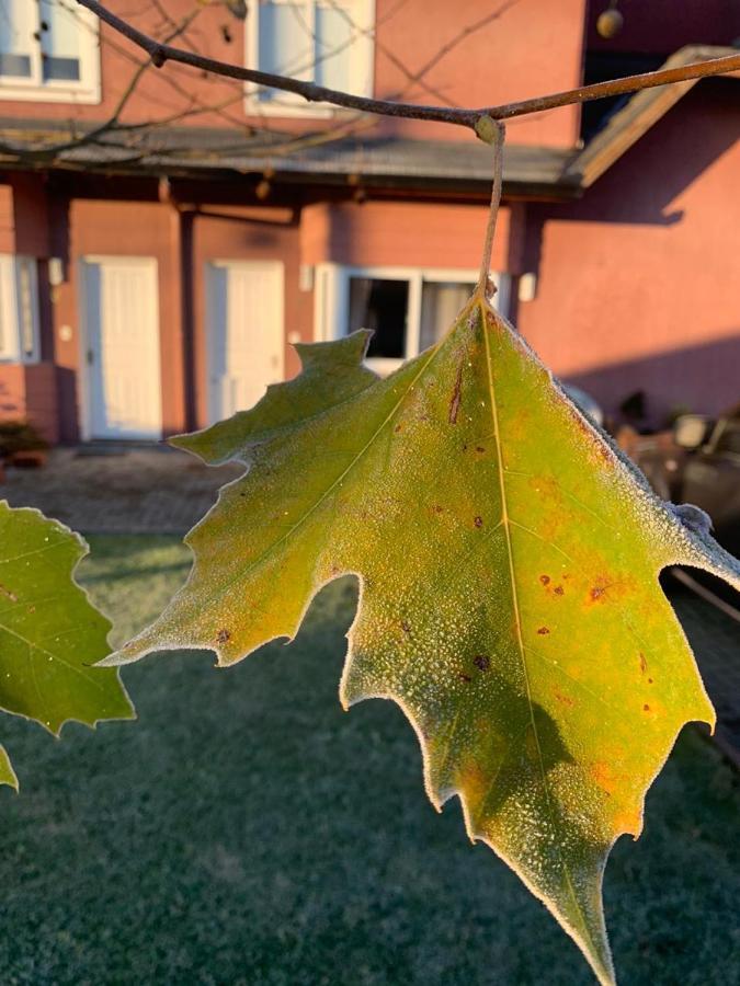 Sua Casa Em Canela Exterior foto